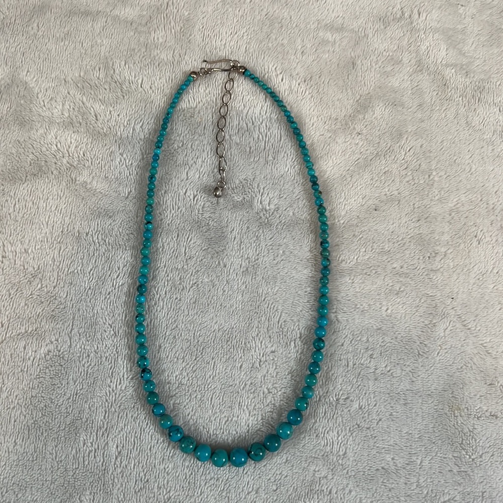 Jay King Turquoise Necklace jewelry